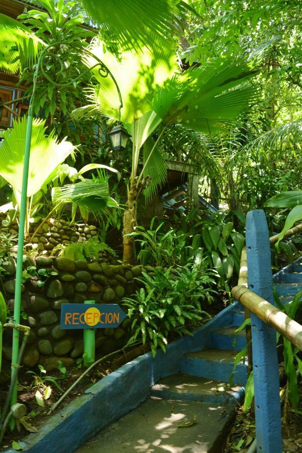 Hotel Luna Llena Península de Nicoya Exterior foto