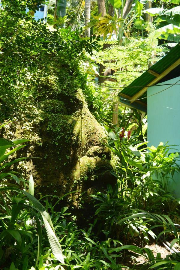Hotel Luna Llena Península de Nicoya Exterior foto